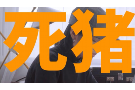樟树清债公司哪里找?揭秘债务清收领域的专业机构 樟树清债公司哪里找?揭秘债务清收领域的专业机构